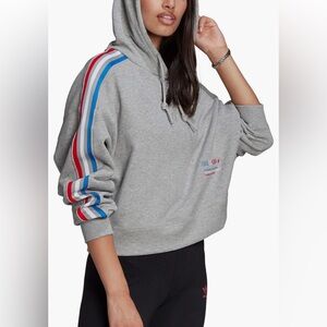 Adidas Originals Adicolor Hoodie in Heather Gray.